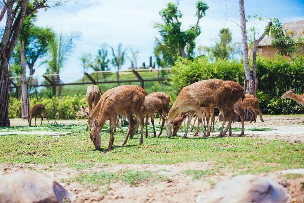 Vinpearl Land Hội An