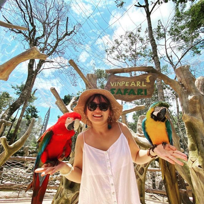 kinh-nghiem-o-vinoasis-phu-quoc (12) Đặt phòng ở Vinoasis Phú Quốc