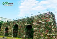Ngây ngất trước vẻ đẹp của con đường ngập hoa tại “Lễ hội hoa” FLC Sầm Sơn